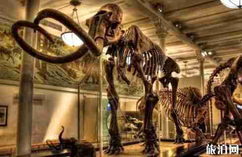 紐約旅行路線4天線路推薦 紐約旅行路線4天線路推薦