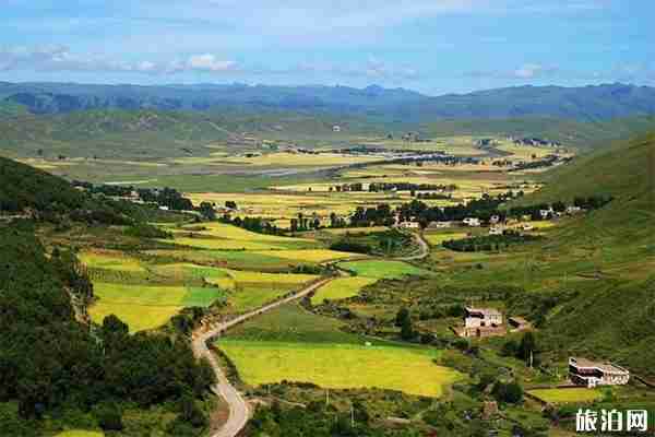 道孚安巴節是什么意思 有什么好玩的-時間