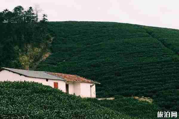 莫干山最佳旅行時間 莫干山四季面貌 莫干山最佳旅行時間 莫干山四季面貌