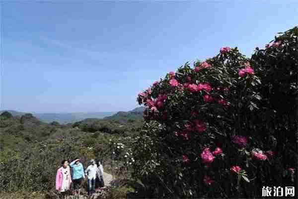 國(guó)家級(jí)旅游度假區(qū)和5A級(jí)景區(qū)是一個(gè)意思嗎 有什么區(qū)別 國(guó)家級(jí)旅游度假區(qū)和5A級(jí)景區(qū)是一個(gè)意思嗎 有什么區(qū)別