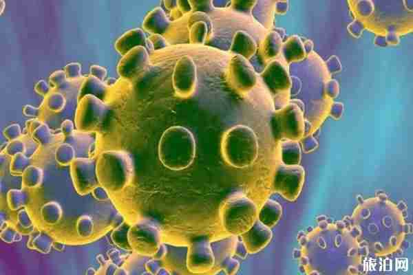 新型冠状病毒可通过接触传播 什么是接触传播 新型冠状病毒可通过接触传播 什么是接触传播