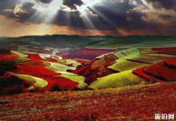 東川紅土地幾月去最美 云南東川紅土地旅游攻略2018 東川紅土地幾月去最美 云南東川紅土地旅游攻略2018