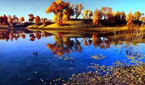 新疆秋天美景图片 新疆秋天哪里最美 新疆秋天美景图片 新疆秋天哪里最美