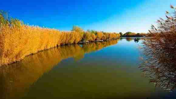 新疆秋天美景图片 新疆秋天哪里最美 新疆秋天美景图片 新疆秋天哪里最美