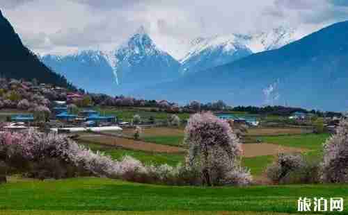 318国道村庄限速30吗 318国道村庄推荐