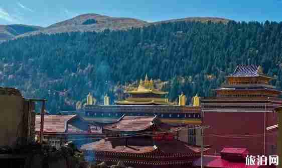 318国道村庄限速30吗 318国道村庄推荐