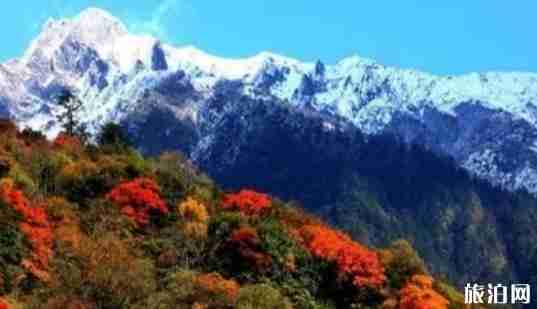 川西秋季旅游景点大全