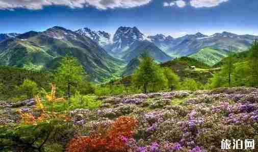 云南适合情侣去的地方有哪些