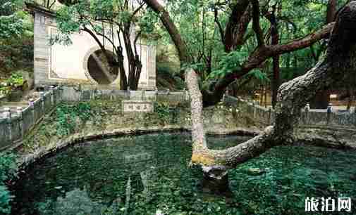 云南适合情侣去的地方有哪些