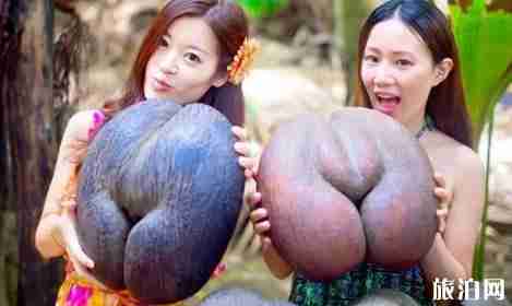 贝克汉姆蜜月的地方 贝克汉姆蜜月的地方有什么好玩的