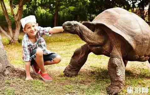 贝克汉姆蜜月的地方 贝克汉姆蜜月的地方有什么好玩的