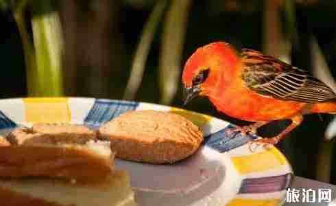 贝克汉姆蜜月的地方 贝克汉姆蜜月的地方有什么好玩的