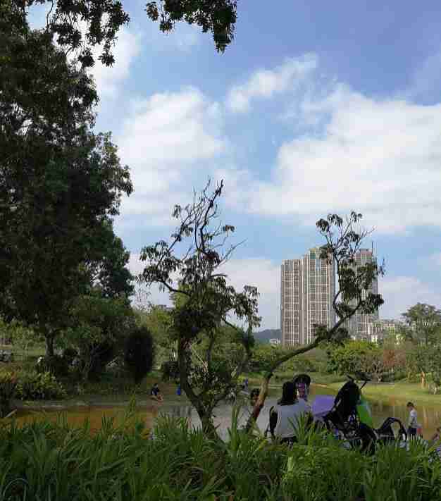 香蜜公园停车场在哪 大不大