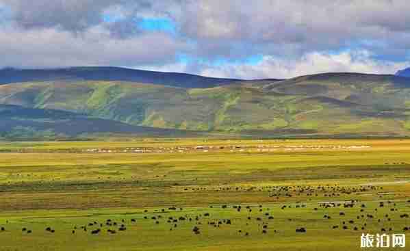 国庆川西环线自驾游攻略