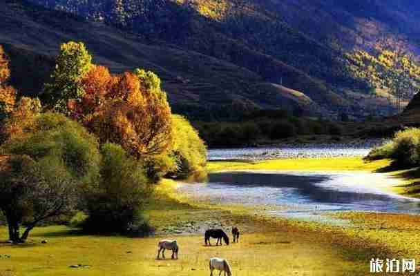 国庆川西环线自驾游攻略