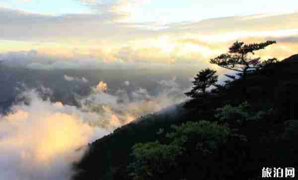 神农架交通地图 神农架交通攻略