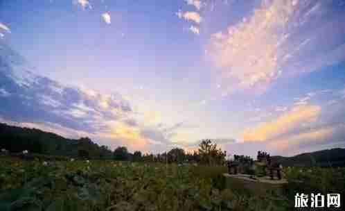 河南美丽的小山村推荐