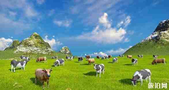成都到若尔盖自驾游攻略 成都到若尔盖自驾游攻略