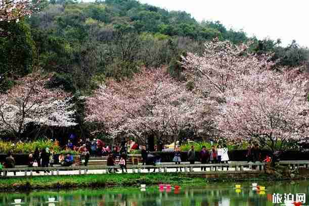 江苏旅游八天路线推荐 江苏旅游八天路线推荐