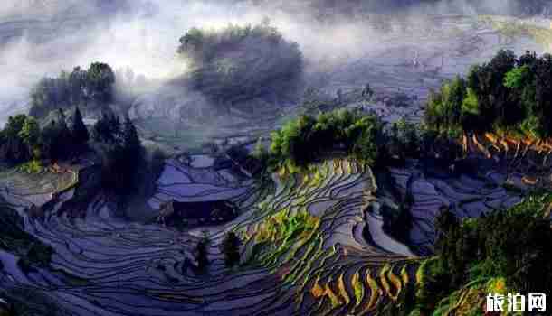 十一郑州出发自驾线路推荐 十一郑州出发自驾线路推荐