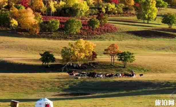 十一郑州出发自驾线路推荐 十一郑州出发自驾线路推荐