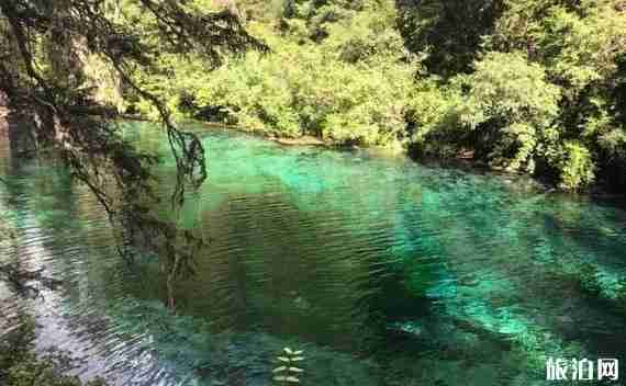 成都到新都桥旅游线路8天路线推荐 成都到新都桥旅游线路8天路线推荐