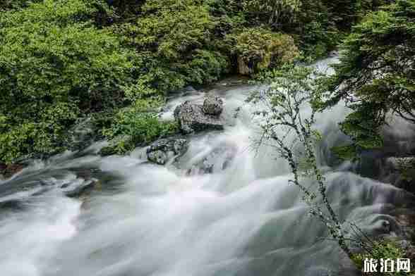 成都到新都桥旅游线路8天路线推荐