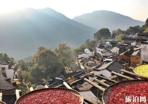 江西婺源旅游最佳时间 去婺源旅游要多少钱 江西婺源旅游最佳时间 去婺源旅游要多少钱