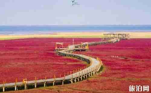 辽宁盘锦红海滩门票 辽宁盘锦红海滩好玩吗