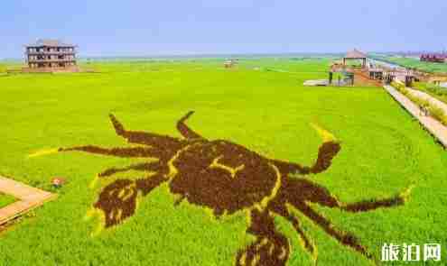 辽宁盘锦红海滩门票 辽宁盘锦红海滩好玩吗