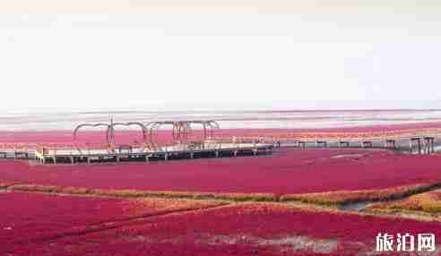 辽宁盘锦红海滩门票 辽宁盘锦红海滩好玩吗