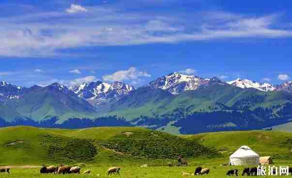 新疆旅游哪些地方需要辦邊防證