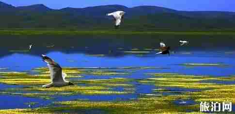 甘南路況怎么樣 甘南自駕游景點推薦