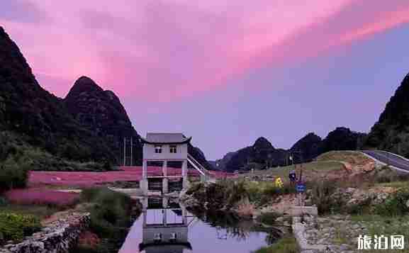 黔南粉黛乱子草在哪里 长顺县神泉谷风景区介绍 黔南粉黛乱子草在哪里 长顺县神泉谷风景区介绍