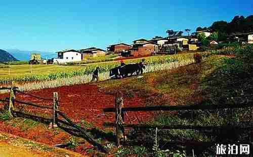 福建古村落有哪些 福建古村落自駕路線推薦 福建古村落有哪些 福建古村落自駕路線推薦