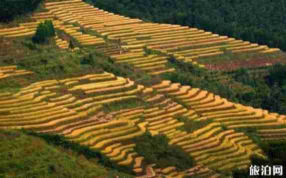 福建古村落有哪些 福建古村落自駕路線推薦 福建古村落有哪些 福建古村落自駕路線推薦