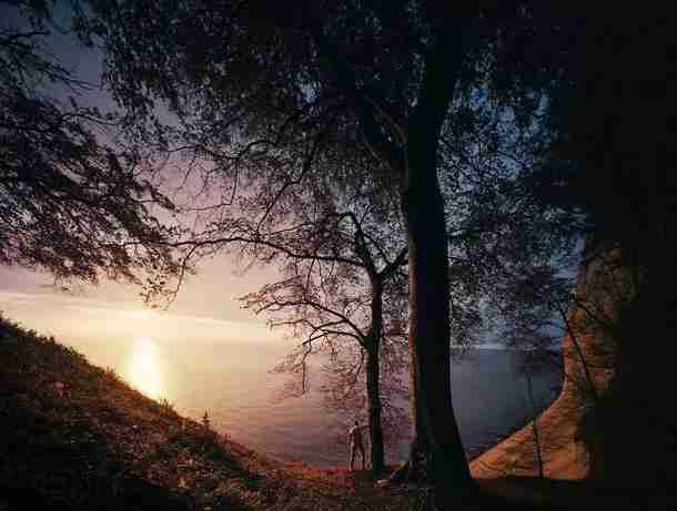 北京展覽館近期展會2018