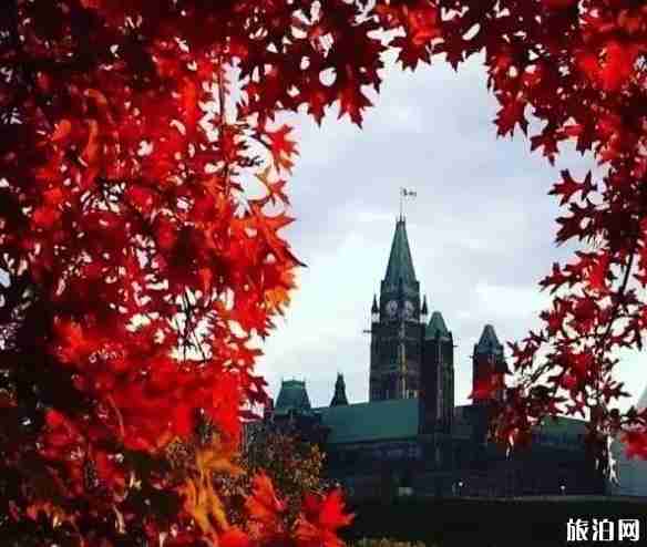 加拿大東部旅游線路四日賞楓路線推薦