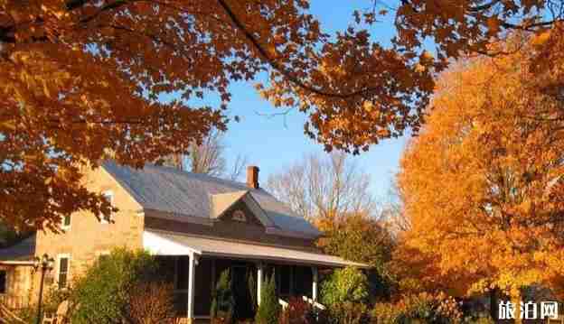 加拿大東部旅游線路四日賞楓路線推薦