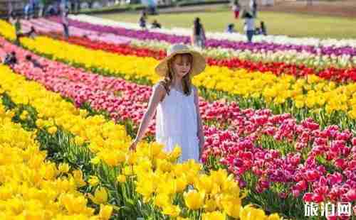 墨尔本周边好玩的地方推荐 墨尔本周边好玩的地方推荐