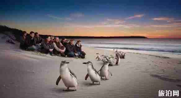 墨尔本周边好玩的地方推荐 墨尔本周边好玩的地方推荐