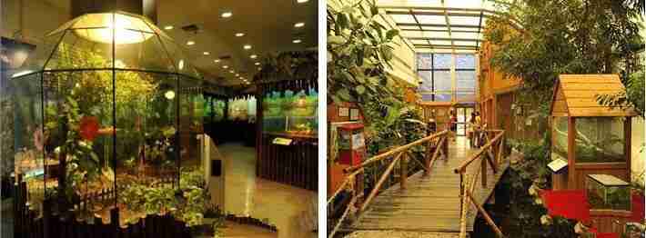 上海大自然野生昆虫馆门票+地址+地铁信息 上海大自然野生昆虫馆门票+地址+地铁信息