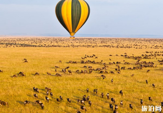 东非有哪些游猎方式 什么是游猎 东非有哪些游猎方式 什么是游猎