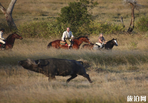 东非有哪些游猎方式 什么是游猎 东非有哪些游猎方式 什么是游猎