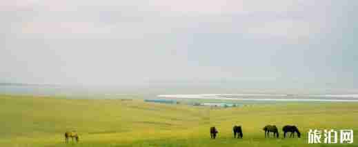 哪个景区厕所最差