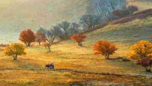 如懿传木兰围场在哪里 如懿传木兰围场拍摄地景点介绍 如懿传木兰围场在哪里 如懿传木兰围场拍摄地景点介绍