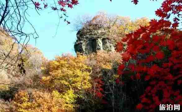 大連秋天去哪旅游 大連秋天旅游景點介紹