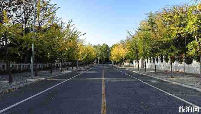 大連秋天去哪旅游 大連秋天旅游景點介紹