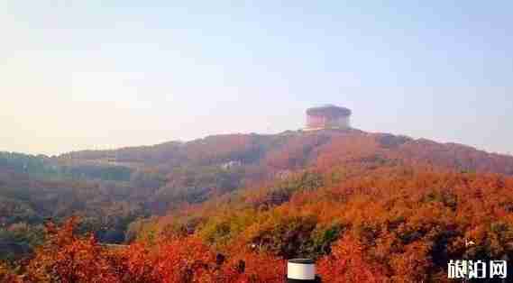 大連秋天去哪旅游 大連秋天旅游景點介紹