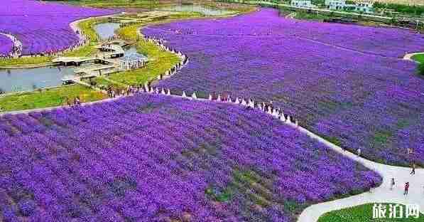 甘肃什么时候去最好 甘肃旅行时间表 甘肃什么时候去最好 甘肃旅行时间表